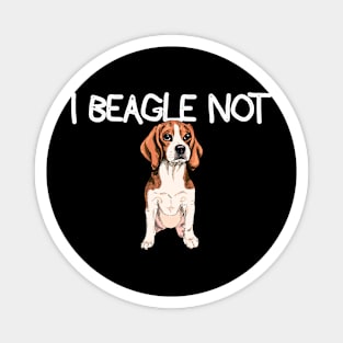 Beagle Not Magnet